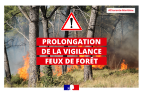 CP Prolongation de la vigilance feux de forêt pour le week-end du 15 août