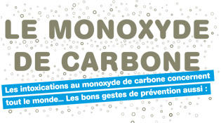 Intoxications au monoxyde de carbone - Ministère du travail, de la santé et  des solidarités